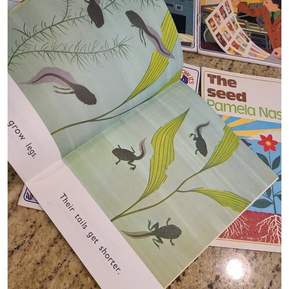 Lot of 23 Modern Curriculum Pamela Nash See How It Grows & See How It's Made - Picture 7 of 12